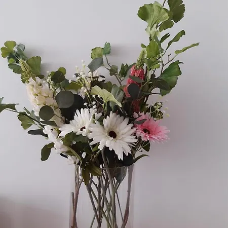 Сasa de vacaciones Cosy@sea *